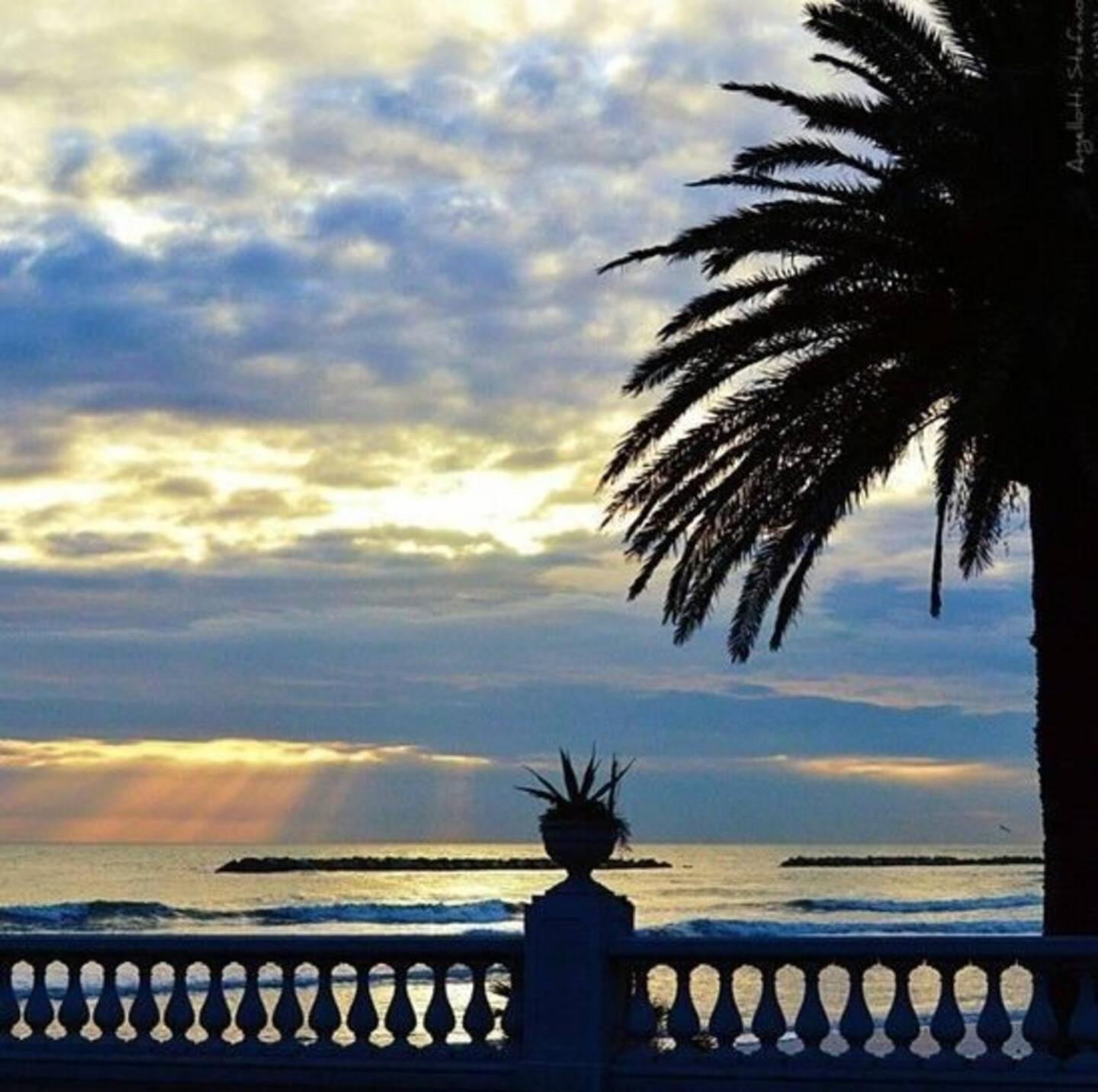 Appartamento Vacanze Riviera Delle Palme San Benedetto del Tronto Eksteriør bilde